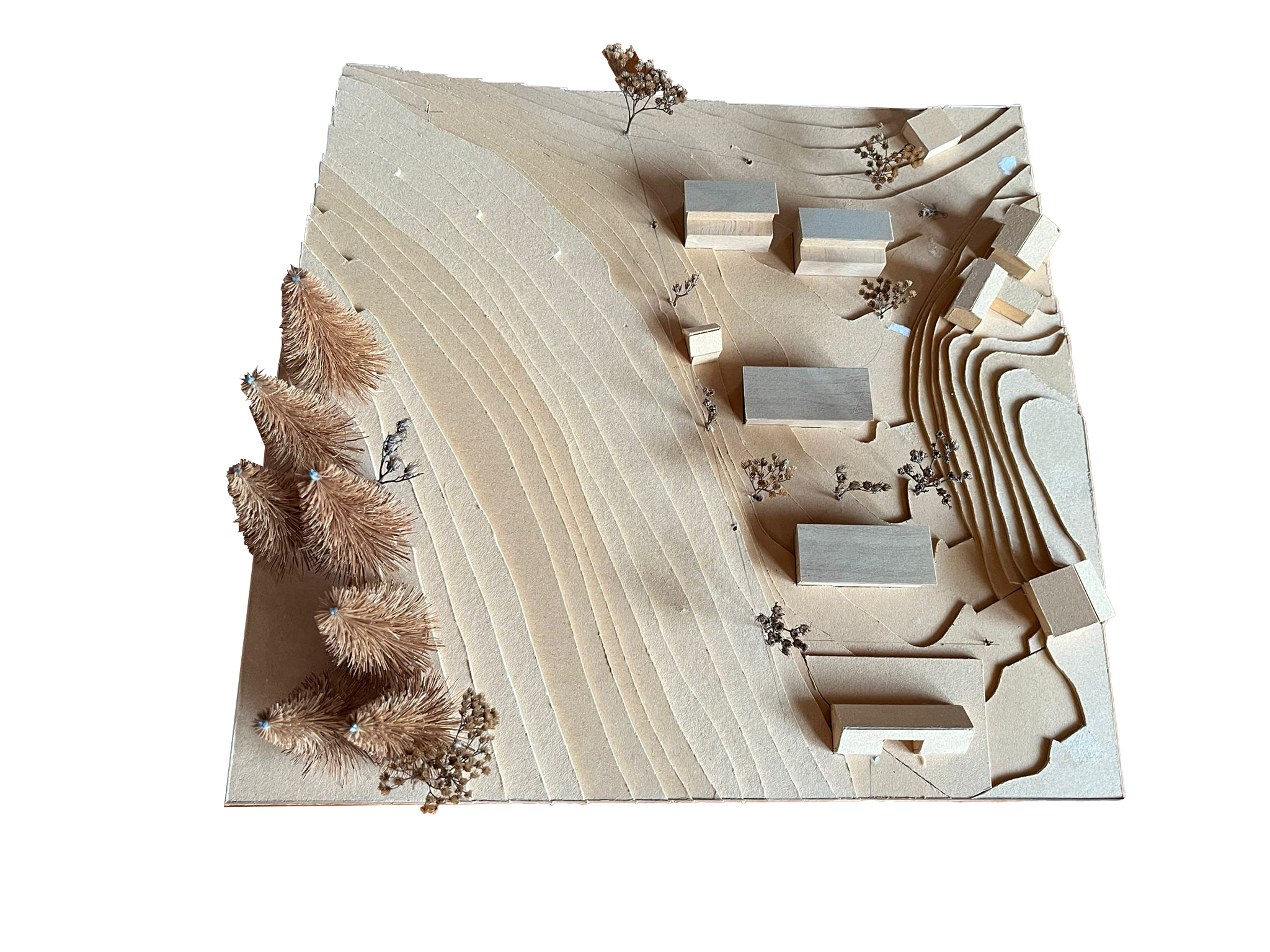 Umgebungsmodell Projekt Laubiboden in Liestal.